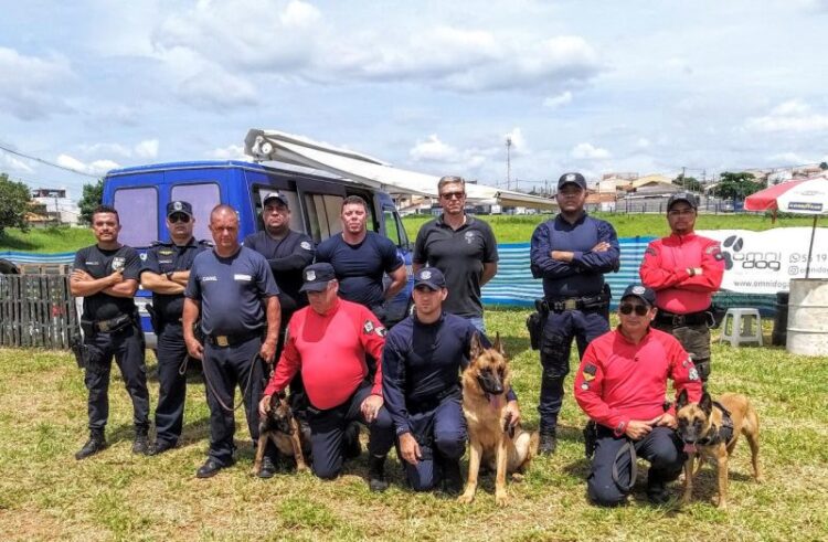 Cães policiais do GOC Cosmópolis participam de treinamento em Nova Odessa