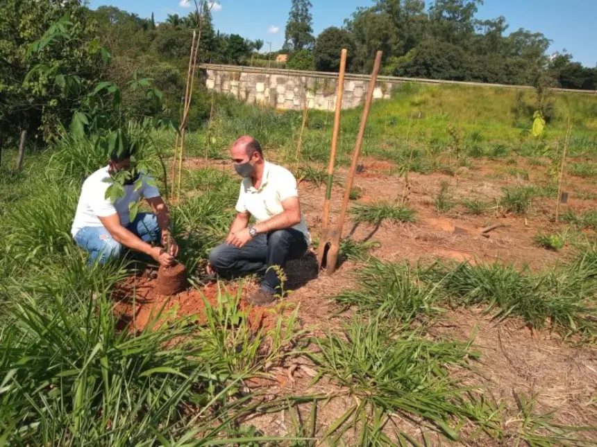 Secretaria de Agricultura e Meio Ambiente realiza plantio