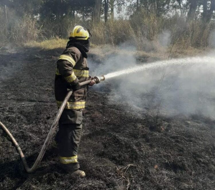 Defesa Civil combate incêndio na área do Consab