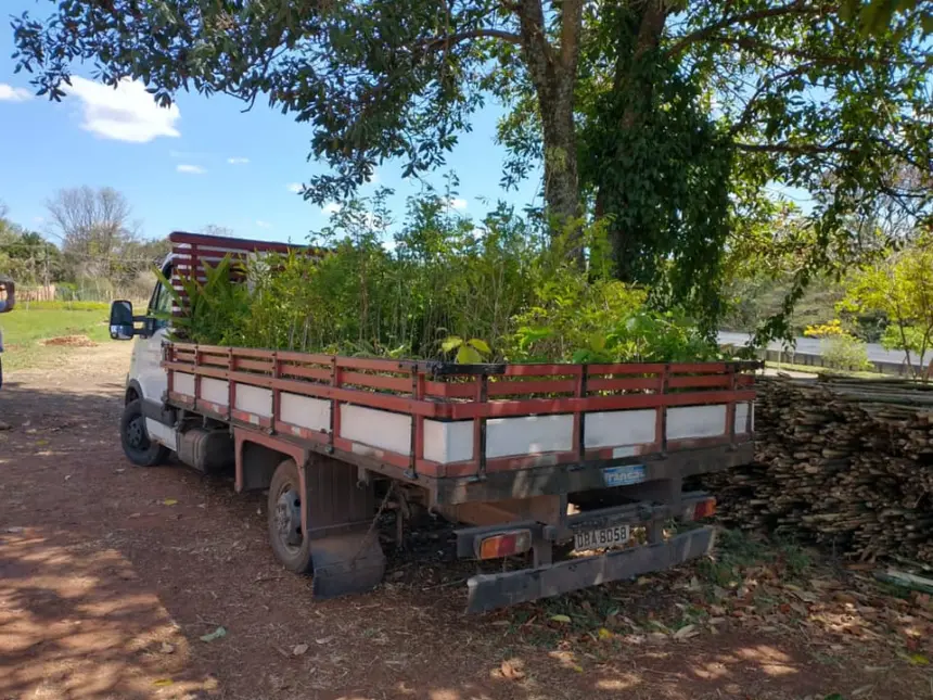 SAMA recebe doação de 1000 mudas do consórcio PCJ