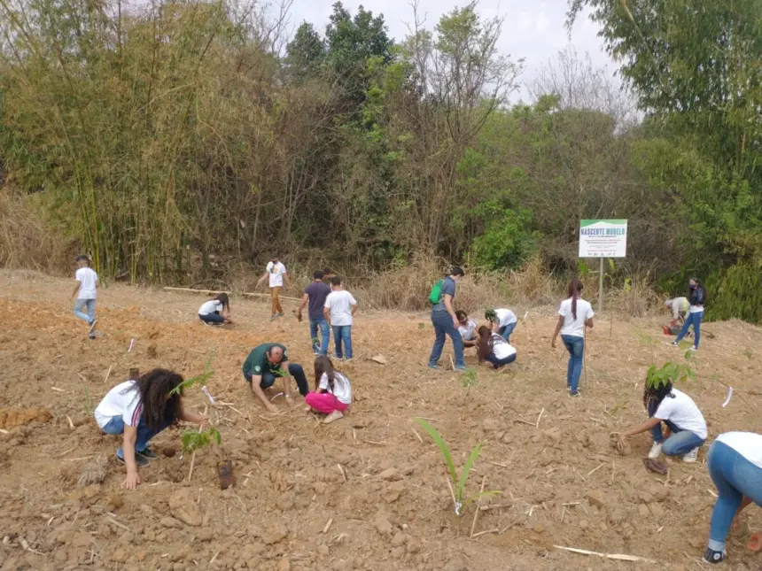 ALUNOS PARTICIPAM DE PLANTIO EM NASCENTE MODELO