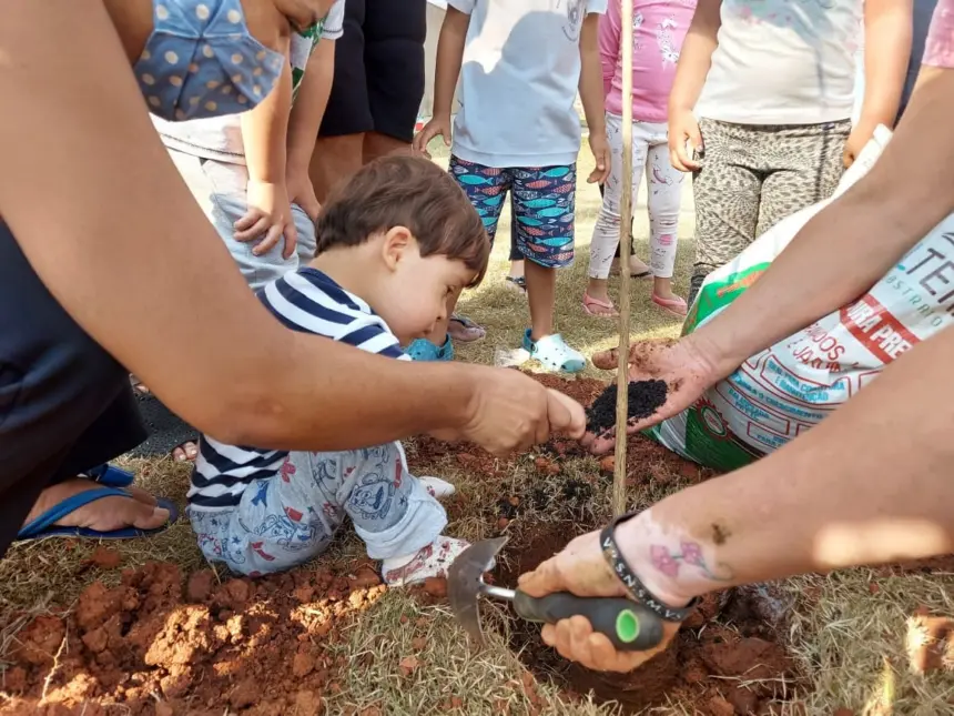 Alunos  plantam árvores em comemoração ao Dia da Árvore