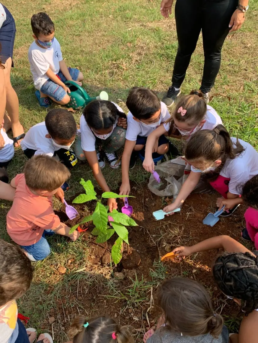 Alunos da Neusa Lapolla realizam ações voltadas para o meio ambiente