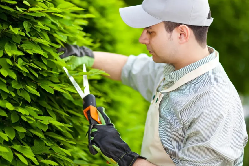 Milton Frungillo tem vagas abertas para o curso de jardineiro profissional