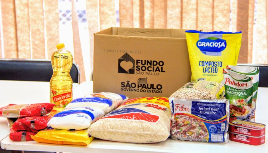 Fundo de Social de Solidariedade recebe 500 cestas básicas