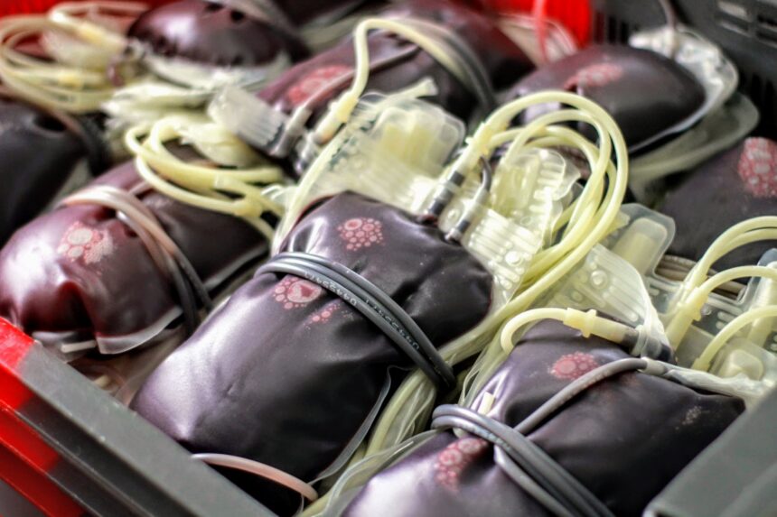 Campanha de Doação de Sangue conta com a participação de 78 cosmopolenses