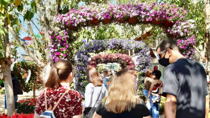 CAPS realiza visita à Expoflora com pacientes