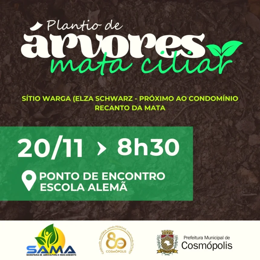 Plantio de árvores – mata ciliar