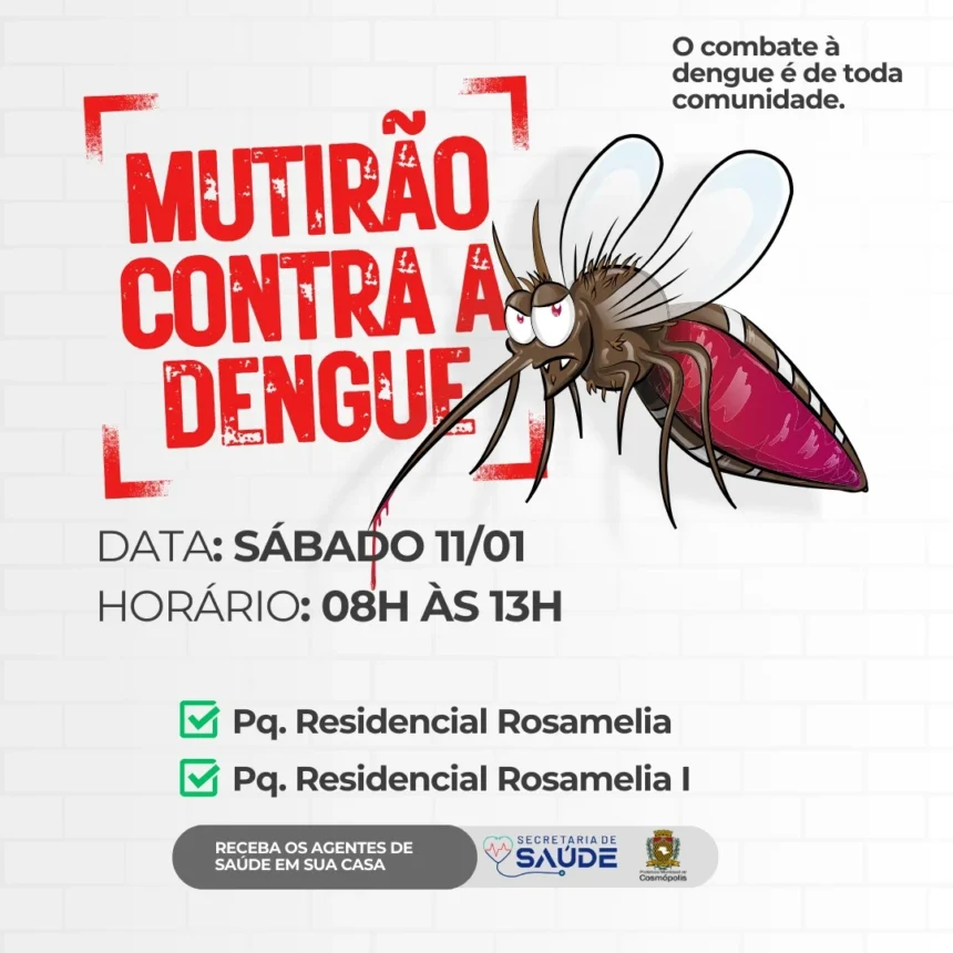 Mutirão contra a dengue