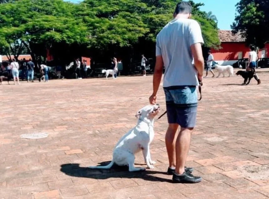 Chegou em Cosmópolis o Projeto EducaCão