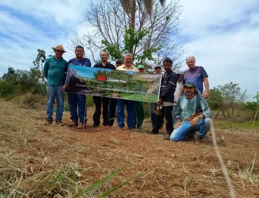 Semana da Árvore: Prefeitura realiza força-tarefa ambiental com escolas e comunidade