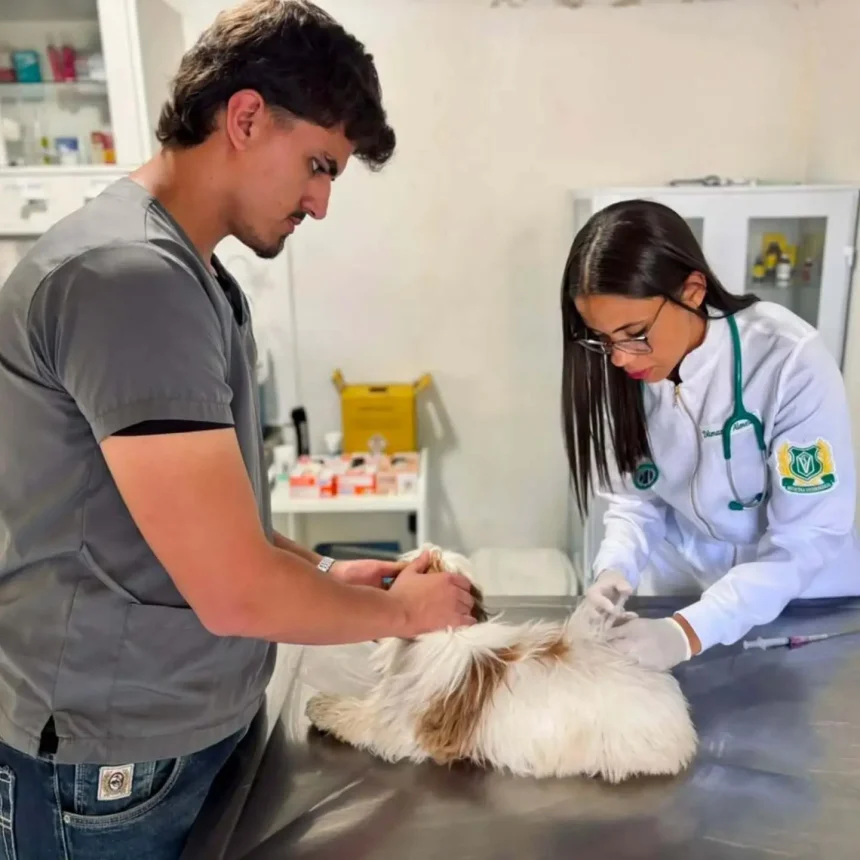VACINAÇÃO ANTIRRÁBICA – UNIDADE DE ZOONOSES